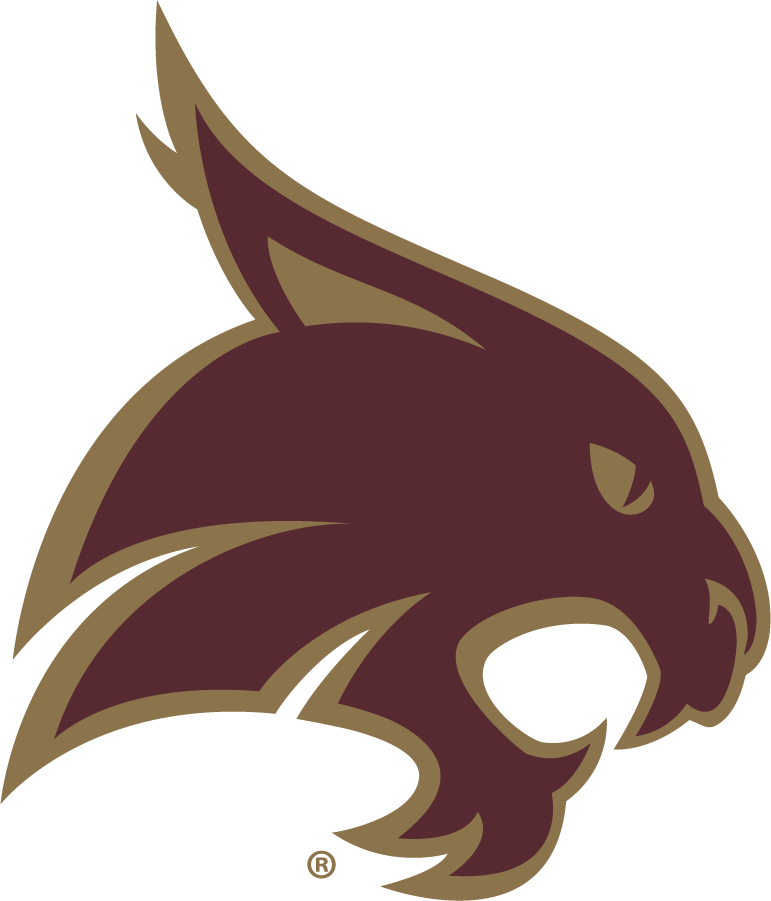 Texas State Bobcats 2008-2021 Alternate Logo DIY iron on transfer (heat transfer)